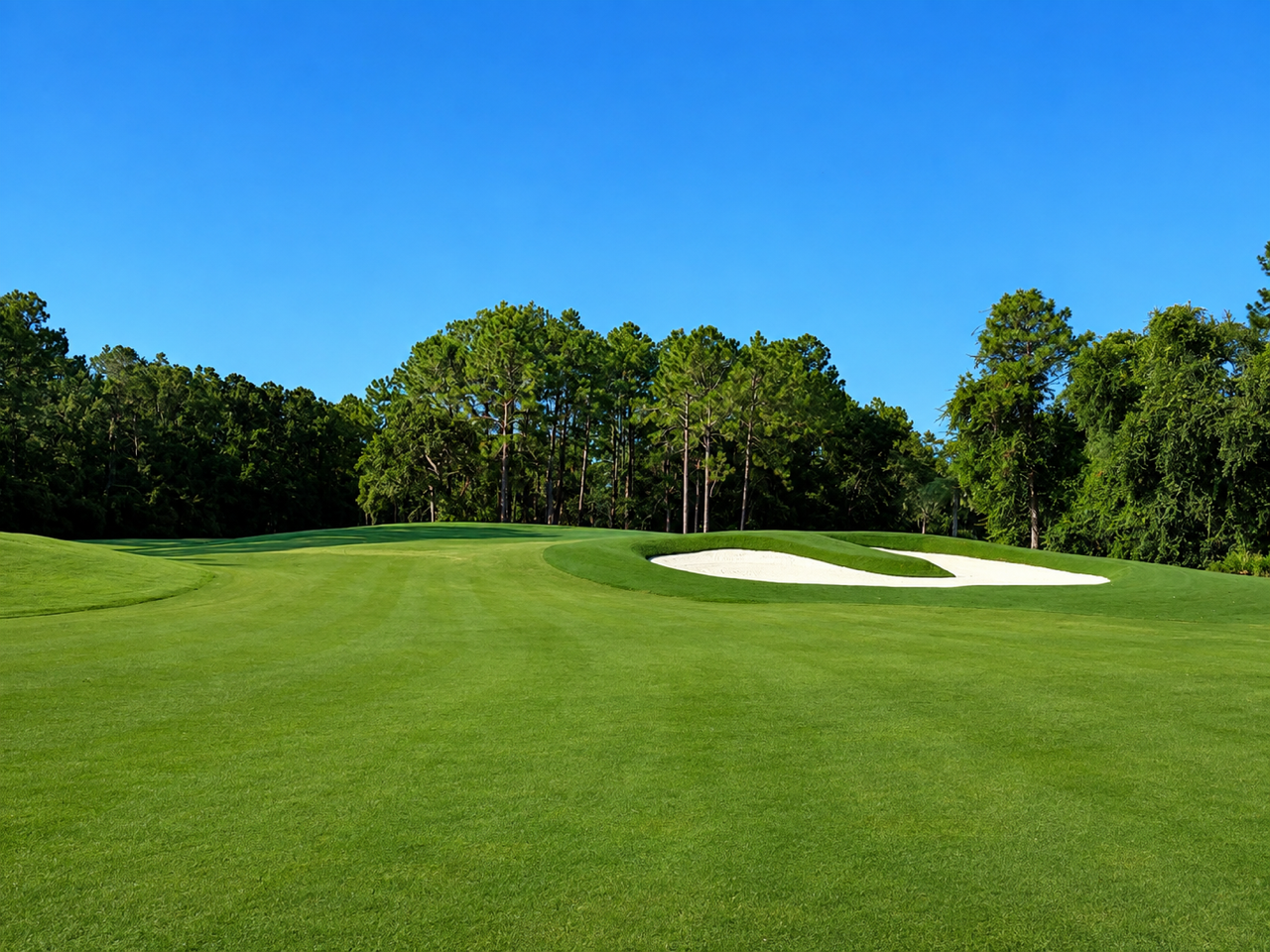 The Golf Club at South Hampton